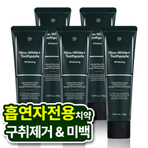 히이즈 니코화이트 흡연자 미백치약 니코틴 누렁니, 5개, 100g