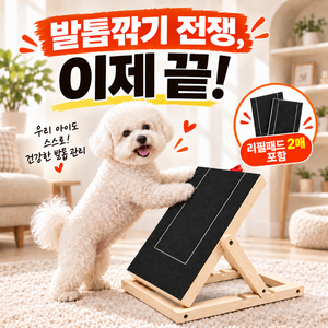 런앤온 반려동물 노즈워크 2세대 각도조절 발톱 스크래쳐+리필패드 2매 세트, 본품+리필패드2매, 1세트