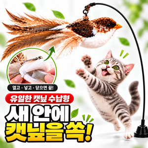 레오꼬리 고양이 캣닢 낚시대 장난감 혼자서 날아다니는 새, 1개, 부라운 캣닢형