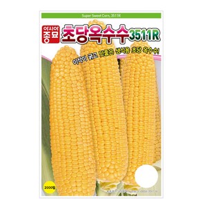 아시아종묘 초당옥수수 3511R 옥수수 씨앗 2000립, 1개