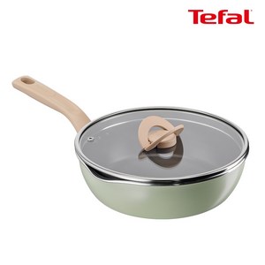 테팔 인덕션 원픽 냄비팬 플러스, 24cm, 피스타치오 그린, 1개