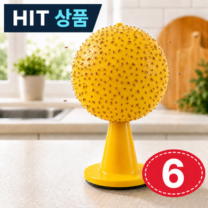 라이노아 끈끈이지킴 초파리 트랩 날파리 끈끈이 가정용 해충 퇴치 6개입, 1세트