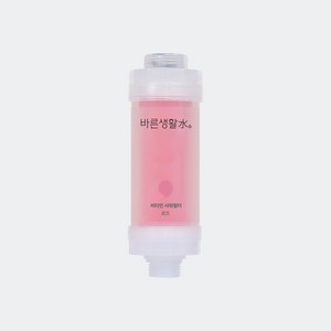 바른생활수 비타민 샤워필터, 1개, 로즈