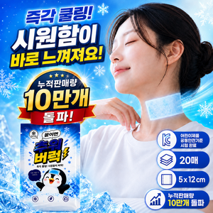 일상속의미 쿨링 시트 쿨패치 20매, 1세트