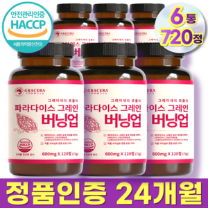 그레이세라 파라다이스 그레인 추출물 파라다이스 그래인 버닝 업 정품, 6개, 120정