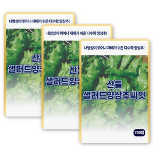 산들 샐러드 양상추씨앗 750립 내병성 뛰어난 다수확 조생종 양상추씨 종자, 3개
