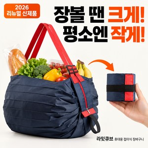 라잇큐브 휴대용 접이식 장바구니 포켓 가방, 1개, 네이비+레인보우