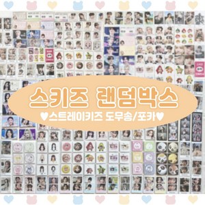 남자아이돌 도무송 비공굿 랜덤박스 포카 굿즈, 스키즈, 랜박