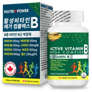 뉴트리파워 활성 비타민B 메가 컴플렉스, 1개, 90정