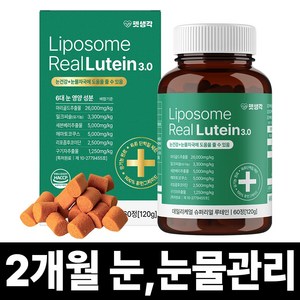 펫생각 강아지 데일리케얼 영양제, 1개