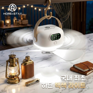 홈앤스테이 캠핑 실링팬 무선 충전식 대용량 타프, DS-001