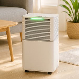 2025년형 스마트 대용량 공기청정 제습기 12L 무소음 가정용, 화이트