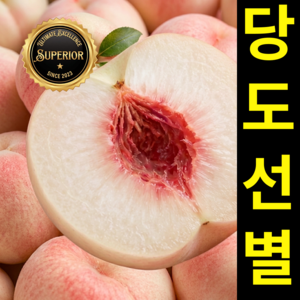 26년햇복숭아 꿀Brix 당도선별 복숭아 산지직송, 1세트, 500g 골드박스 특가