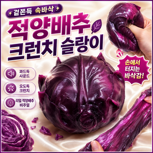 다금샵 적양배추 크런치 말랑이 바삭한 슬랑이, 1개, 110g, 보라색 양배추