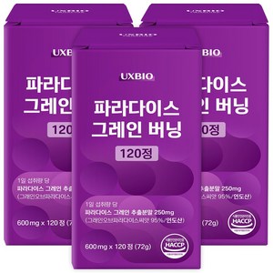 [정품] 파라다이스 그래인 버닝, 3개, 120정