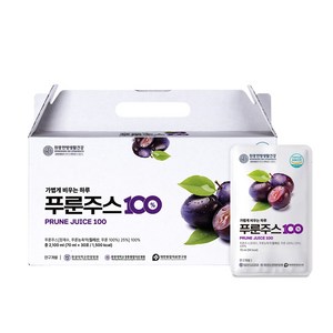 원광한방생활건강 가볍게 비우는 하루 푸룬주스 100, 30개, 70ml
