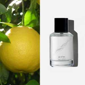 미오브미 오에도 니치 향수 오드퍼퓸, 1개, 50ml