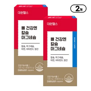 대원헬스랩 뼈 건강엔 칼슘 마그네슘 121.5g, 90정, 2개