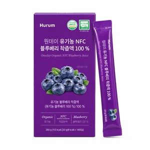 휴럼 원데이 유기농 NFC 블루베리 착즙액 100%, 1개, 280g
