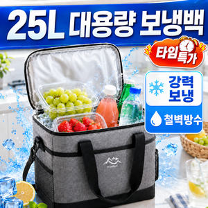 바인느 보냉가방 대형 보냉백 아이스가방, 그레이