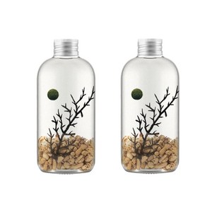세남자바스켓 오션 보틀 마리모 키우기 DIY세트, 몰디브 1개 + 몰디브 1개, 1개