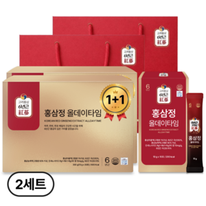 [1+1] 홍삼정 6년근 올데이타임 홍삼스틱 선물세트 쇼핑백포함, 2개, 300g