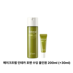 (메이크프렘) 인테카 포맨 수딩 올인원 기획, 1개, 230ml
