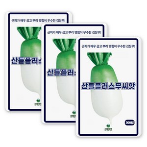 산들 플러스 무씨앗 300립 근피 매우 곱고 뿌리 맺힘이 우수한 소량 김장무씨 종자, 3개