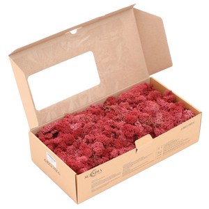 스칸디아모스 500g 실내공기정화 천연이끼, 버건디, 1개