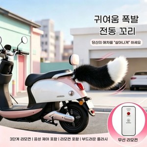 자동차 3D 입체 테일 아이디어 장식품 자동차 트렁크용 외부인형 여우꼬리 음성감지 리모컨 제어 전동 흔들림(자전거/자동차/오토바이 장식소품 귀여운 디자인으로 시선 집중), 1개, 검정색 흰색, 30cm