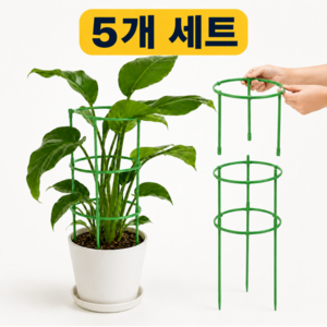 뎁시스 원예 화분 식물지지대, 5개