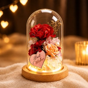 시들지 않는 유리돔 무드등 카네이션 꽃다발 엄마와 시어머니께 드리는 어버이날 선물생일 선물 1개 분홍색, 빨간색