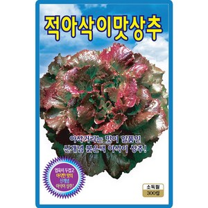 ks 적아삭이맛 상추 300립, 1개