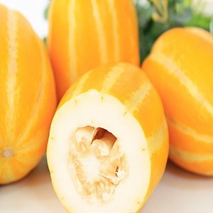 진짜 성주 꿀 참외 못난이5kg (실중량4.5kg), 1개, 5kg 랜덤, 진짜성주꿀참외 못난이 포장재무게포함