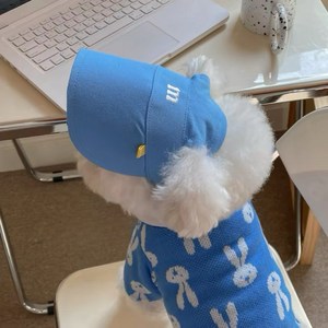 강아지 모자 강아지 썬캡 고양이 모자 안벗겨지는 애견모자, 1개, 블루