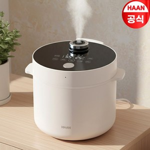 한경희생활과학 가열식 스팀 가습기 4L, HMH-B500, 베이지