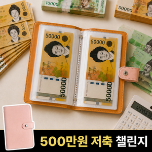 라보슈 차곡차곡 현금바인더 500만원 챌린지 지폐 저축 다이어리, 1개, 뮤즈핑크