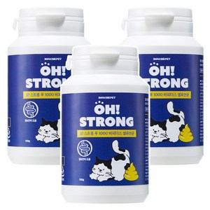 동물병원 입점 몽셰펫 고양이 생 유산균 영양제 대용량 100g, 3개, 장건강/유산균, 50회분