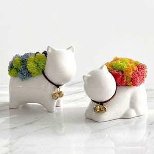 꽃순이 스칸디아모스 인테리어소품 공기정화식물 2색, 1세트