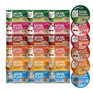 동원 뉴트리플랜 대용량 고양이캔, 24개, 160g, 혼합맛(6종콤보)