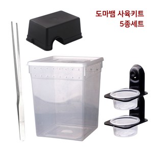 도마뱀 사육키트 5종 세트 파충류 팩맨 개구리 세로형 사육장 먹이구 은신처 핀셋, 5개, 혼합