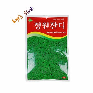 잔디씨앗 30g 정원잔디 공원잔디 묘소잔디 다용도잔디 씨앗 케이스스탁, 5개