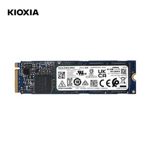 키오시아NVMe SSD 256GB KIOXIA XG6, -