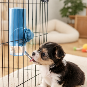 iHome 케이지 걸이형 500ml 펫 워터 보틀 소형동물 급수기 토끼 고양이 강아지 겸용, 1개, 블루