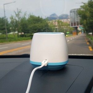 차량용 USB 공기청정기 / 화물차 승용차 냄새제거 공기정화, 블루
