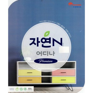 친환경 다용도 페인트 자연 N 어디나 4L 방문 현관문 목재 철재 가구 시멘트 벽면등 어디나 활용 가능한 수성 다용도 페인트, 1개, 스노우화이트