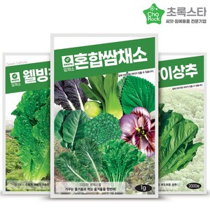 혼합쌈채소 웰빙청치마 아삭이상추 상추씨앗 3종세트, 1개