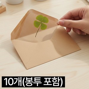 디심플 행운 네잎클로버 코팅 카드 봉투 포함, 10개