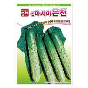 아시아종묘 신아시아은천백다다기 오이 씨앗 50립, 1개