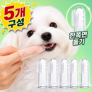 루프메이드 부드러운 실리콘 돌기 반려동물 강아지 고양이 손가락 칫솔세트, 5개, 투명